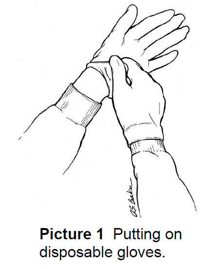 Putting on disposable gloves
