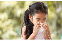 Your Guide to Respiratory Season