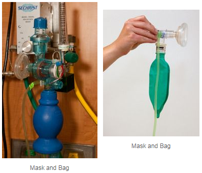 mask and bag