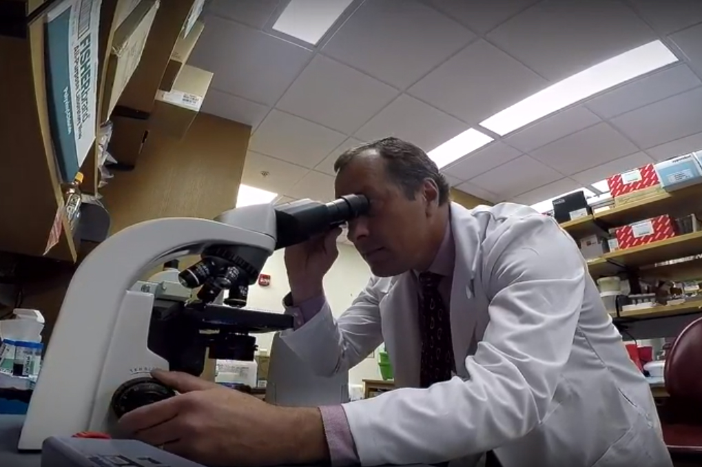 Dean Lee, MD, PhD working in his lab.