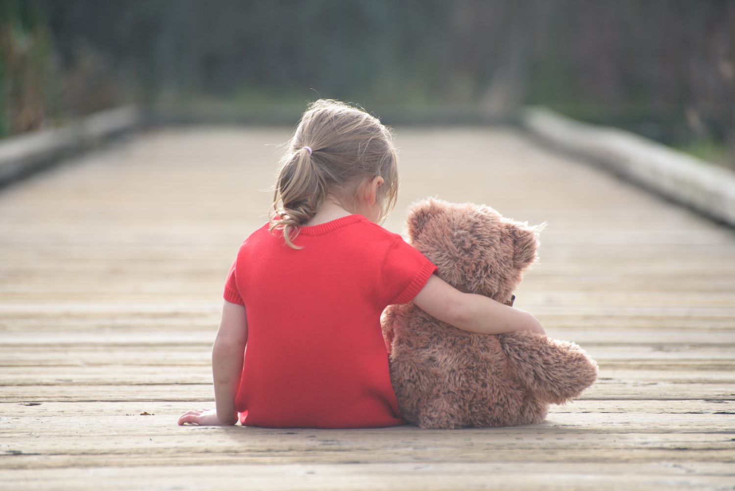 Child facing away from the camera holding a stuffed bear.