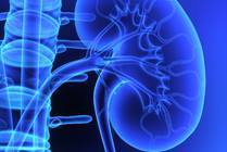 2024 Kidney and Urinary Tract Symposium: State-of-the-Art in Congenital Obstructive Uropathy