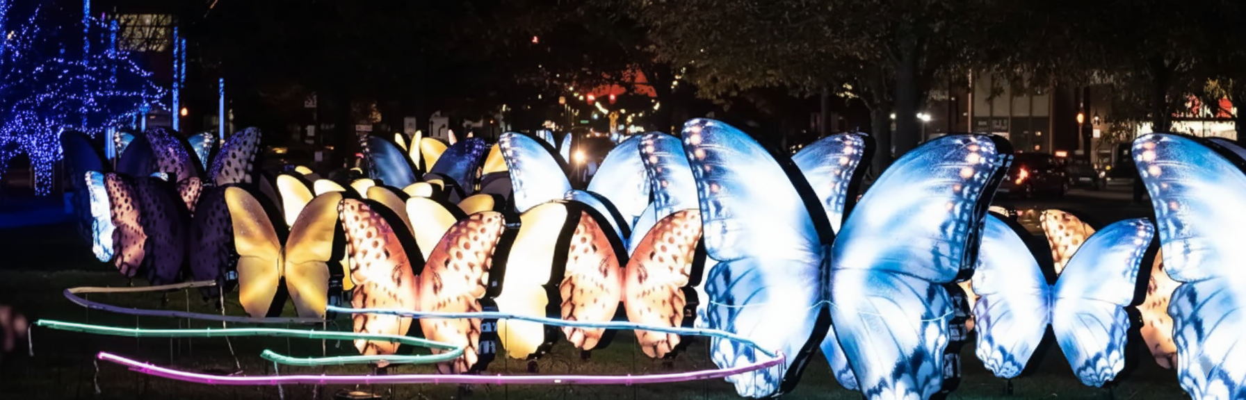 Several rows of large butterflies are illuminated on the hospital lawn at night.