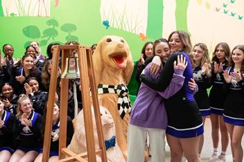 bell ringing in magic forest