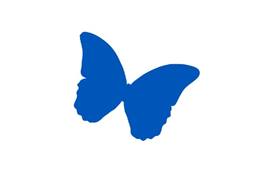 Blue Butterfly