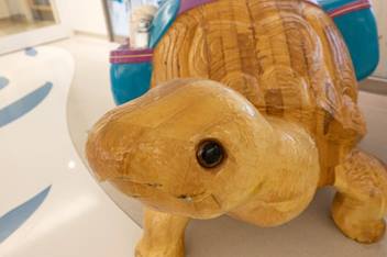 Wooden turtle sculpture in a hospital environment, promoting a welcoming atmosphere for patients and visitors.