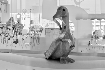 Duck animal friend
