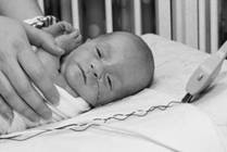 Fetal Cardiac Program