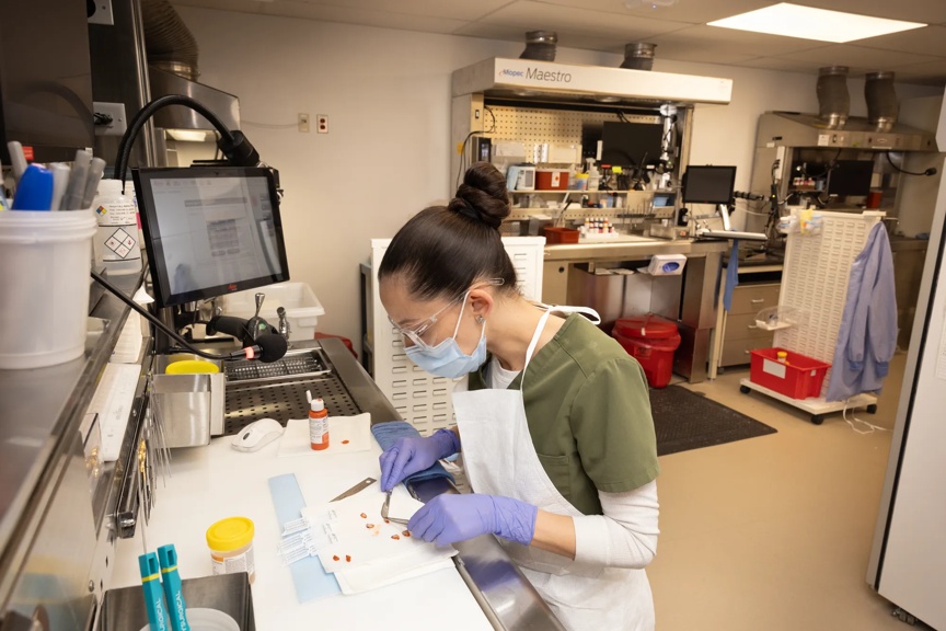 A laboratory technician wearing gloves, a face mask, and protective eyewear works at a clean bench, carefully handling small samples with tools. The workspace includes a computer monitor, containers, and lab equipment, with additional workstations and supplies visible in the background.