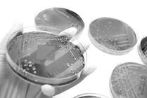 Center for Microbe and Immunity Research