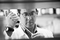 Research Faculty Careers