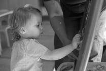 Infantile Spasms Program