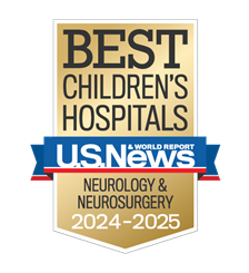 US News Badge Neurology and Neurosurgery
