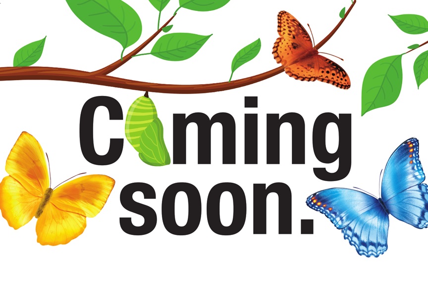 Coming soon text paired with colorful butterflies and a tree branch with green leaves