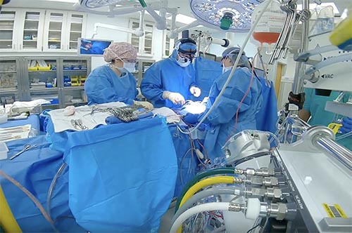 Dr. Sergio Carrillo Bio Video