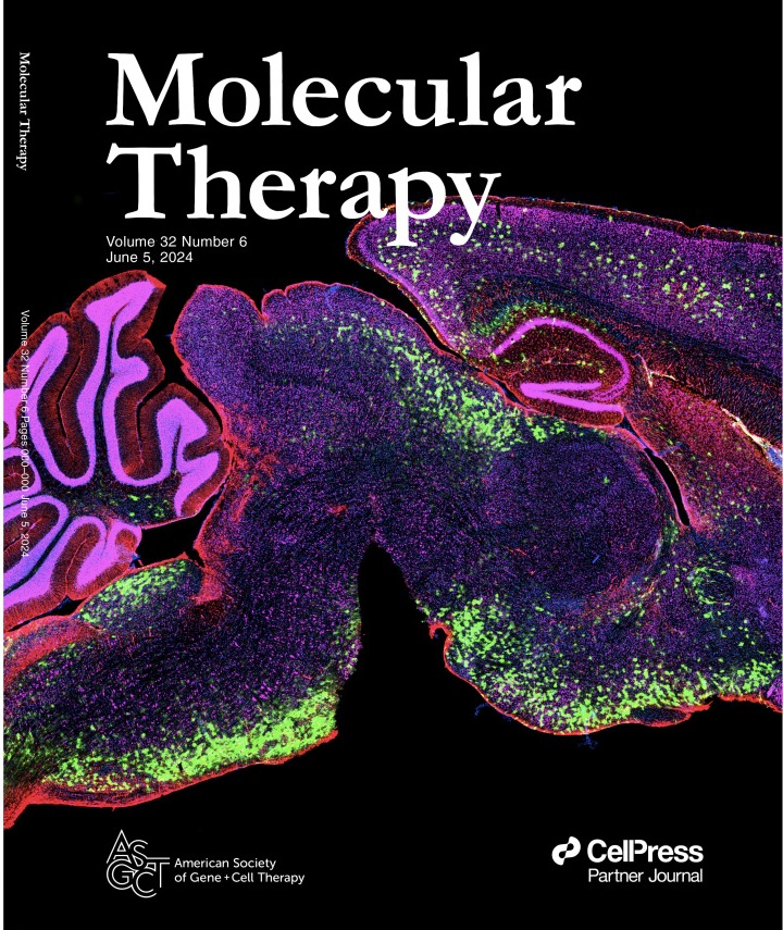 Journal cover for Molecular Therapy featuring a colorful fluorescent microscopy image of a sagittal brain section, with layered regions highlighted in magenta, green, and purple against a black background. The issue information (Volume 32, Number 6, June 5, 2024) and publisher logos appear along the edges.