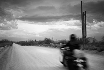 Center for Injury Research and Policy Transportation Safety