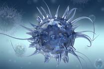 Cell Therapy Clinical Research