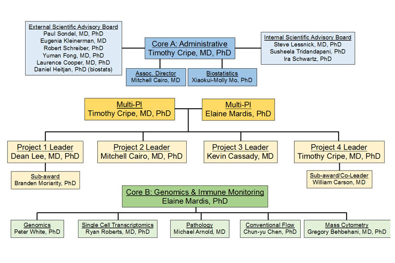 Peds-ONC Immunotherapy Center Org Chart