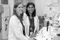 Medical Fellows