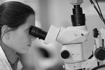 Research Compliance and Integrity