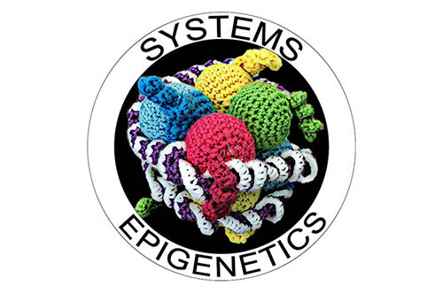 Systems Epigenetics