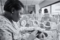 Small Baby Program