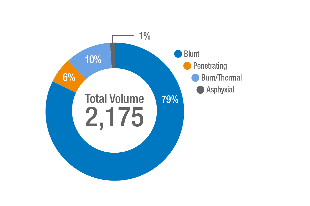 2019 Trauma Total Volume