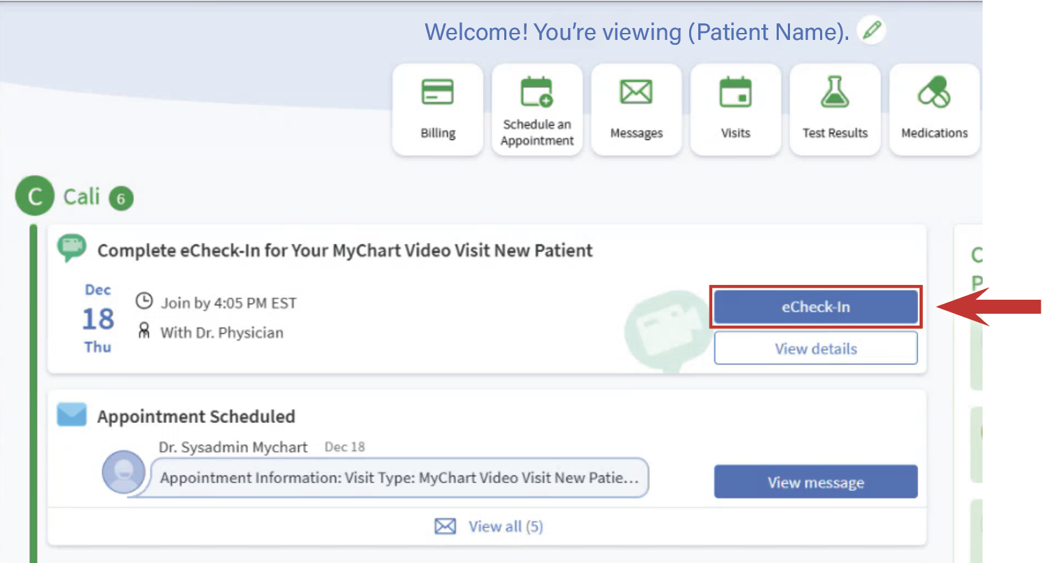 Screenshot points to eCheck In Button